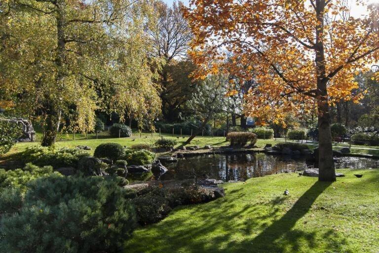 1-Bed Apartment, Close To Kensington Olympia With Free Wi-Fi & Netflix Londra Esterno foto